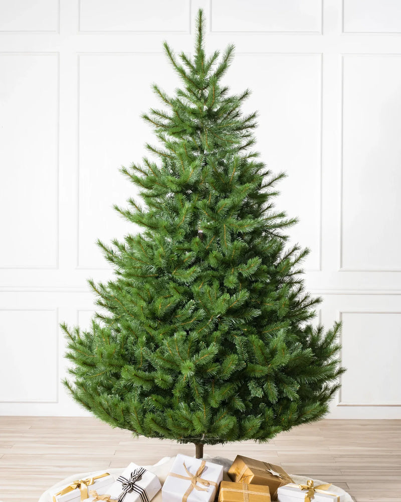 Nordmann-Künstlicher Weihnachtsbaum Standard 213,5cm